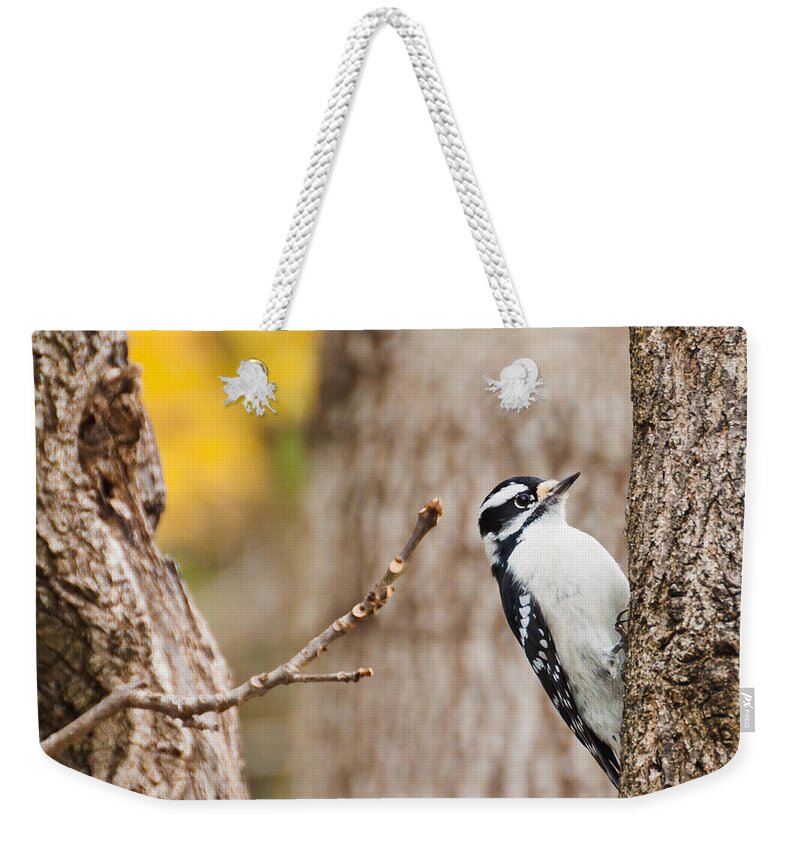 Downy Woodpecker Weekender Tote Bag featuring the photograph Mrs. Downy by Cheryl Baxter