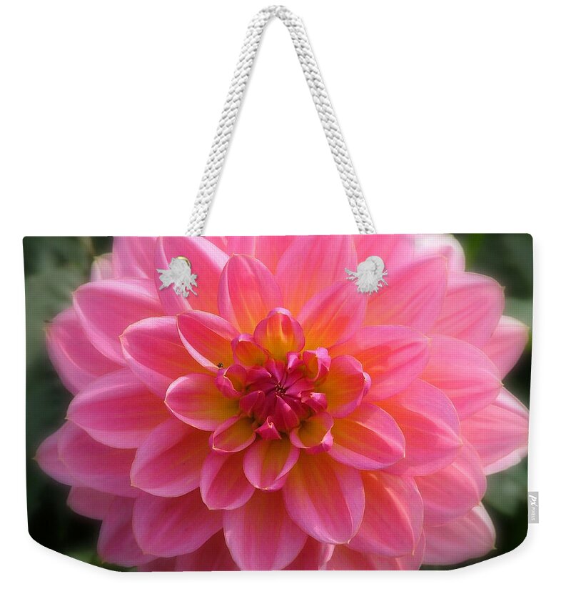 Mum Canvas Prints Weekender Tote Bag featuring the photograph Mum's The Word by Wendy McKennon