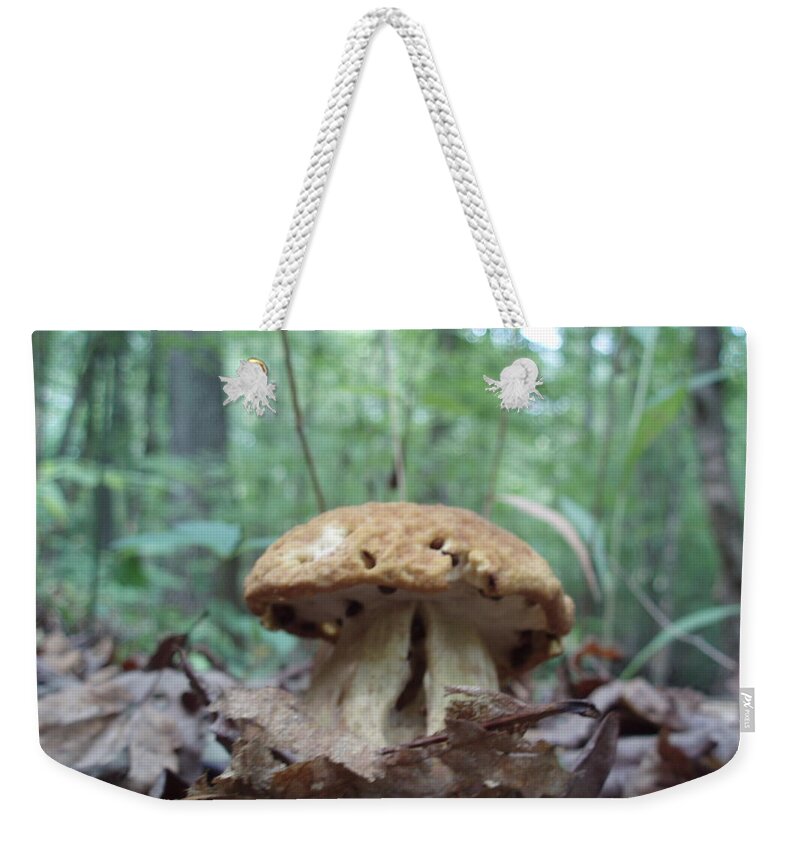 Nature Weekender Tote Bag featuring the photograph Mushroom by Kimberly Mohlenhoff