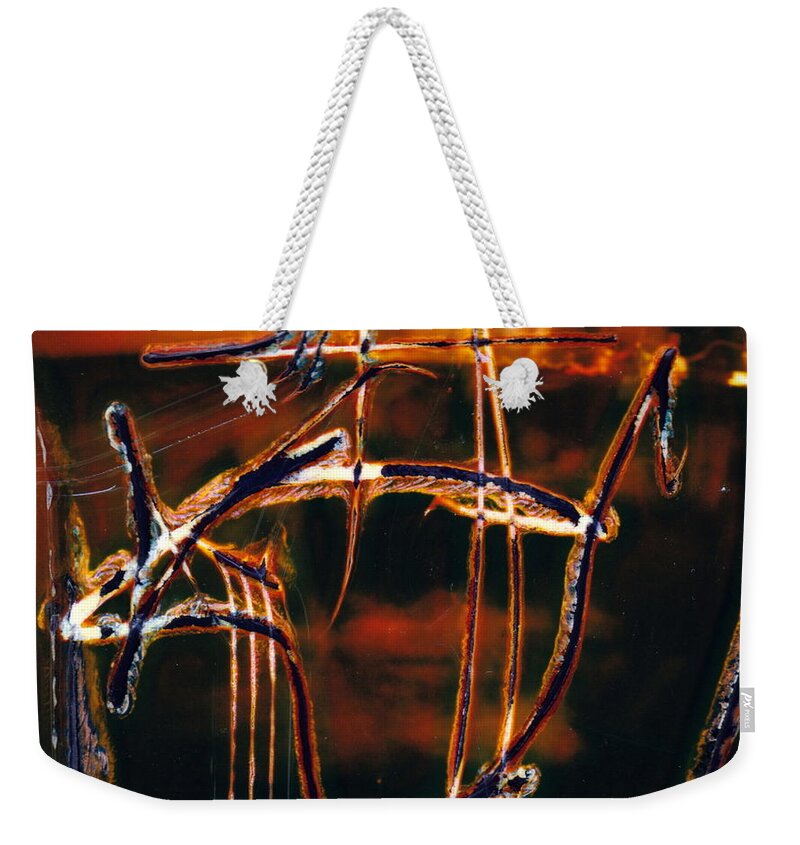  Weekender Tote Bag featuring the photograph Musical Lift by JC Armbruster