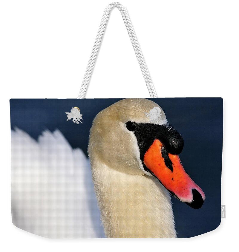 Mute Weekender Tote Bag featuring the photograph Mute Swan by Bill Dodsworth