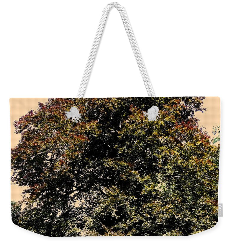 Sonne Weekender Tote Bag featuring the photograph My Friend the Tree by Juergen Weiss