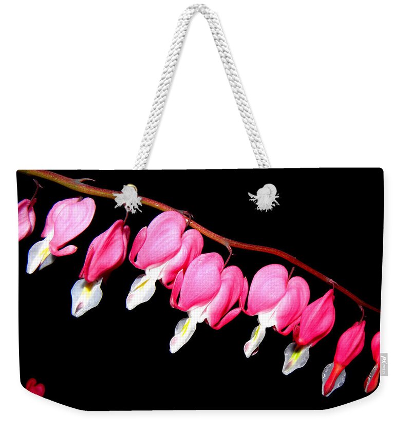 Pink Bleeding Hearts Weekender Tote Bag featuring the photograph My Pink Hearts Trail by Kim Galluzzo Wozniak