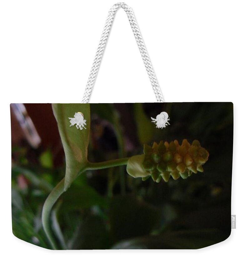  Weekender Tote Bag featuring the photograph My room up close 12 by Myron Belfast
