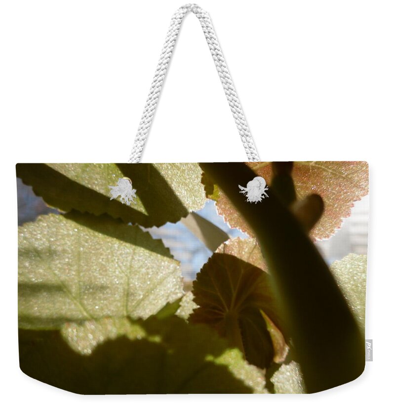  Weekender Tote Bag featuring the photograph My room up close 15 by Myron Belfast