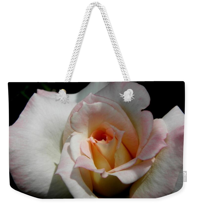 Rose Weekender Tote Bag featuring the photograph My Secret Rose by Kim Galluzzo