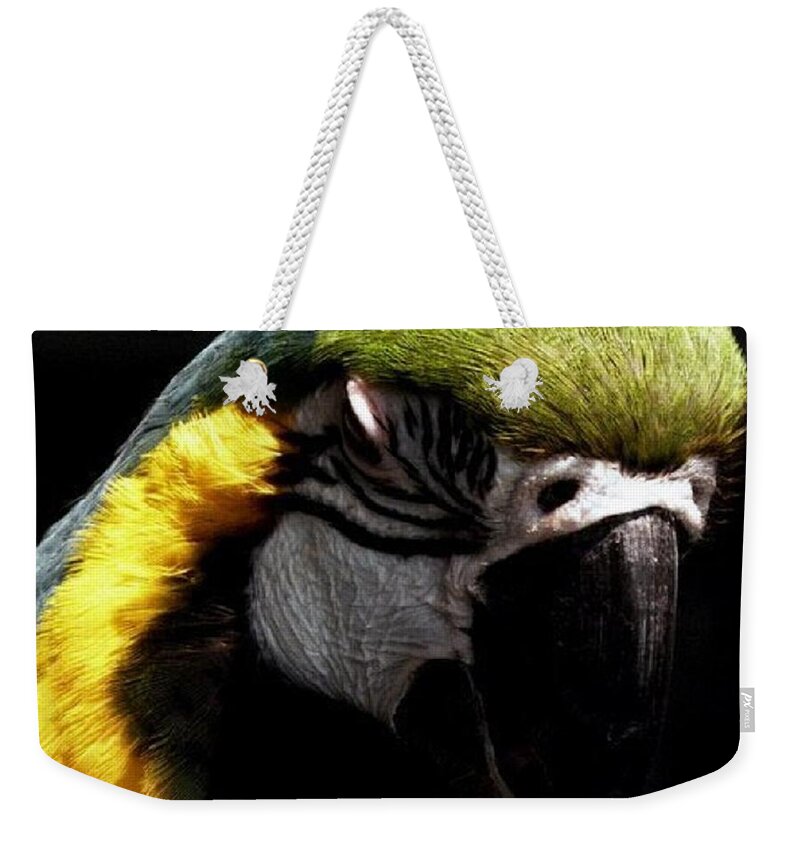 Macaw Weekender Tote Bag featuring the photograph Nap Time by Kim Galluzzo Wozniak