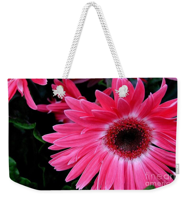 Flowers Weekender Tote Bag featuring the photograph Naturally Flourescent by Mary Deal