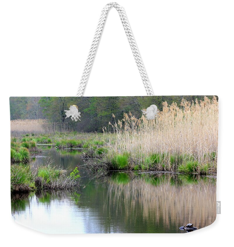 Turtles Weekender Tote Bag featuring the photograph Nature at its best by Kim Galluzzo