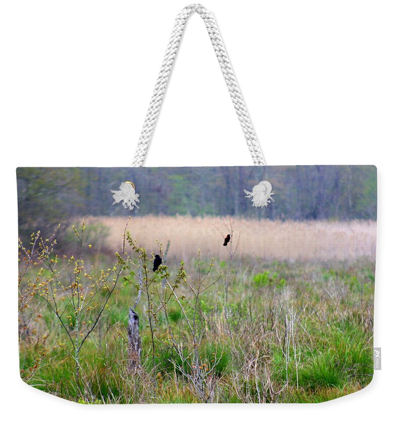 Marshland Weekender Tote Bag featuring the photograph Nature On The Marsh by Kim Galluzzo Wozniak