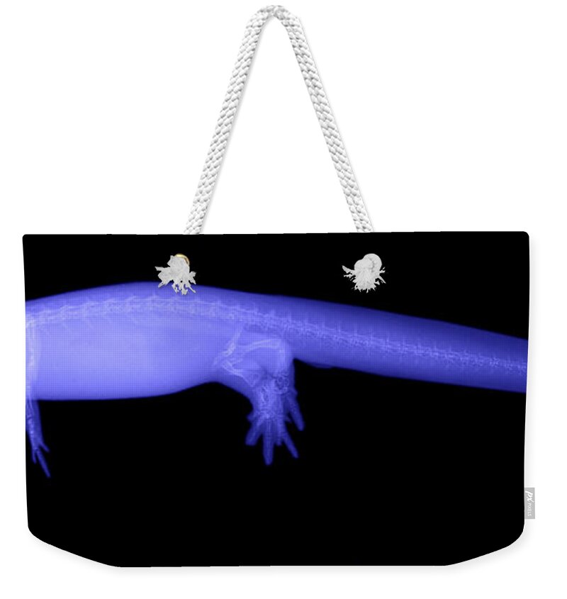 X-ray Weekender Tote Bag featuring the photograph Newt by Ted Kinsman