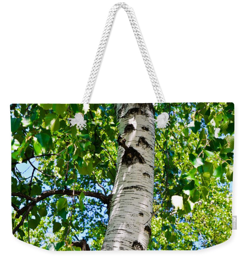 Birch Weekender Tote Bag featuring the photograph Nostalgia by Michael Goyberg