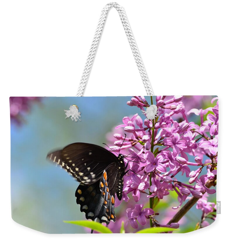 Butterfly Weekender Tote Bag featuring the photograph Nothing says Spring like Butterflies and Lilacs by Lori Tambakis