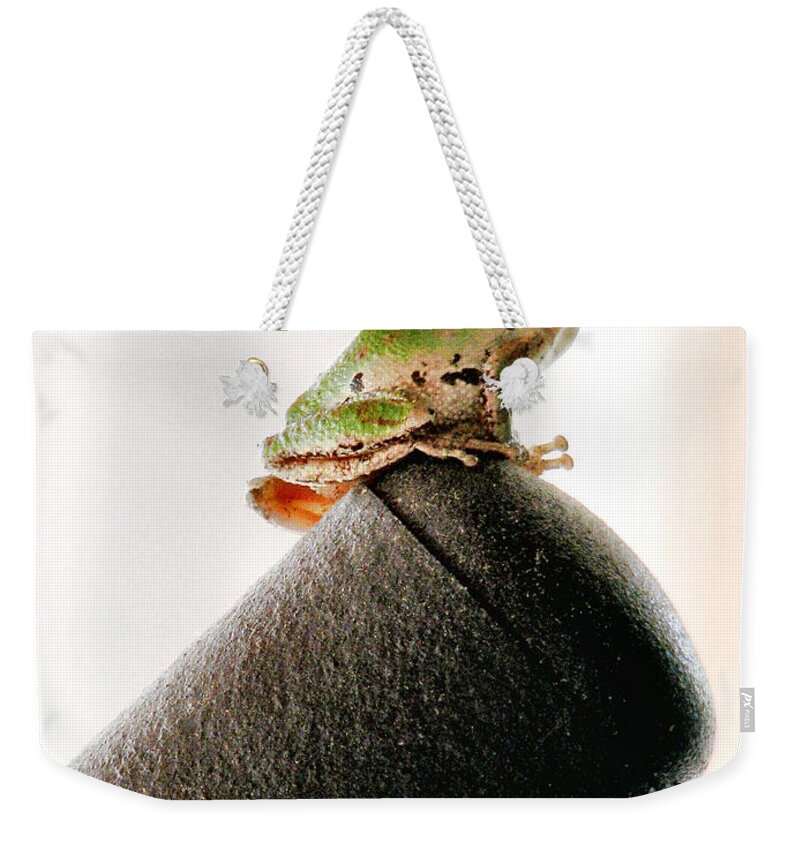 Frog Weekender Tote Bag featuring the photograph Now What? by Rory Siegel