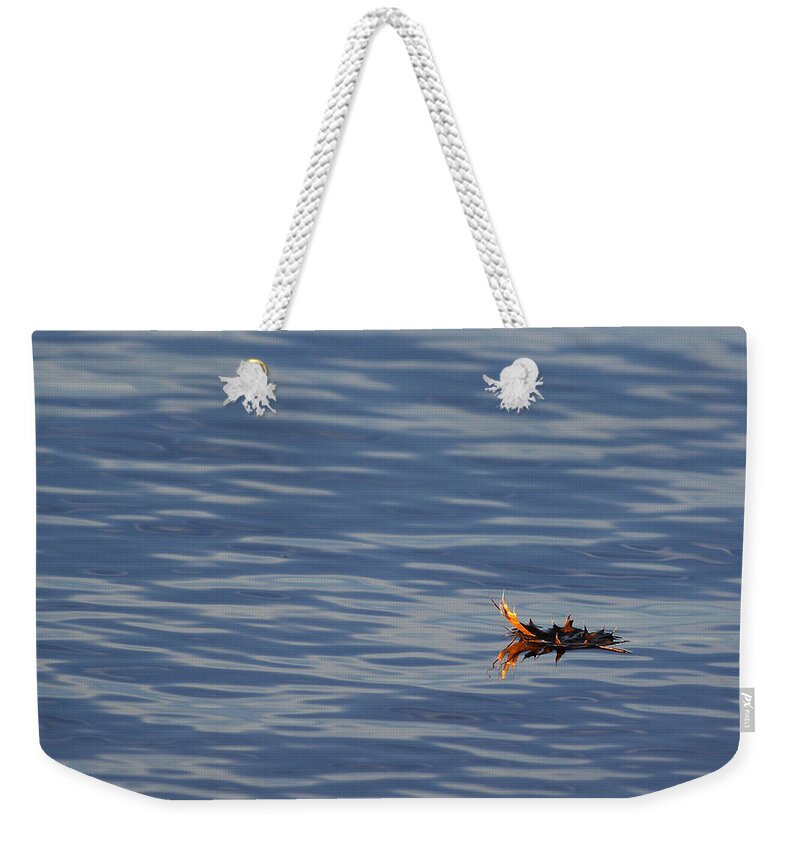 Water Weekender Tote Bag featuring the photograph Oak Leaf Floating by Daniel Reed