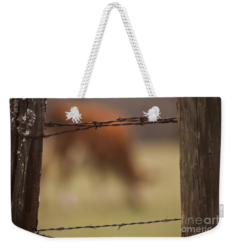 Fences Weekender Tote Bag featuring the photograph Old Post Fence by Kim Henderson