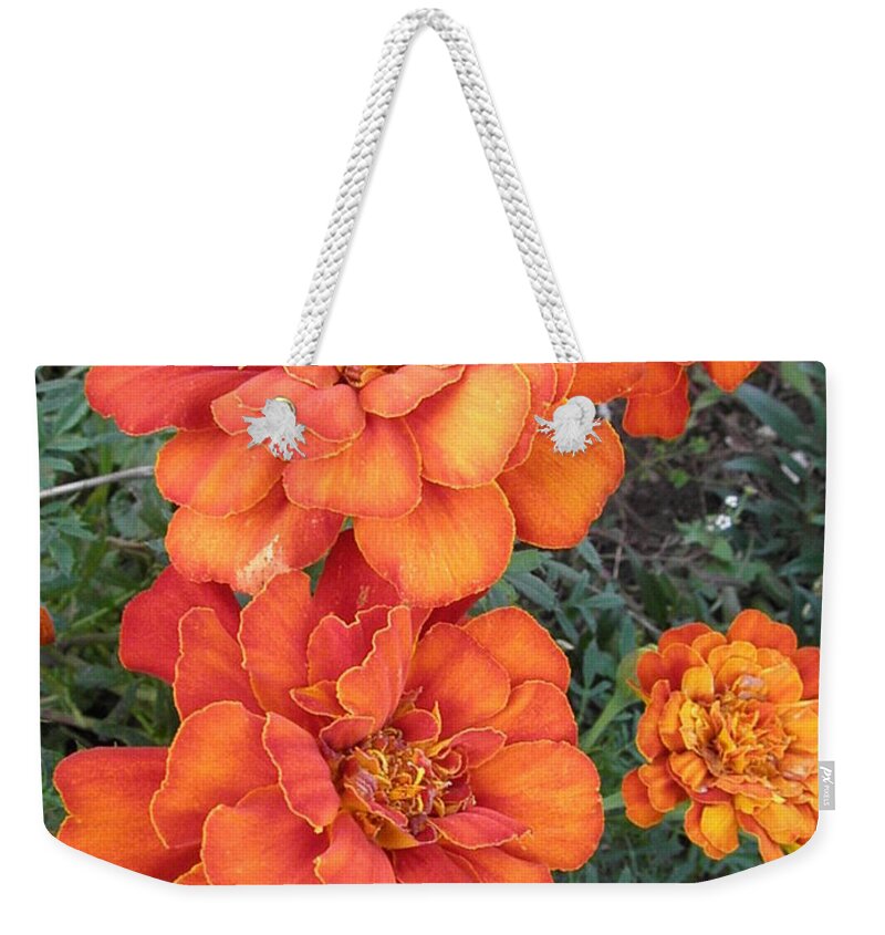 Marigolds Weekender Tote Bag featuring the photograph On Fire by Kim Galluzzo