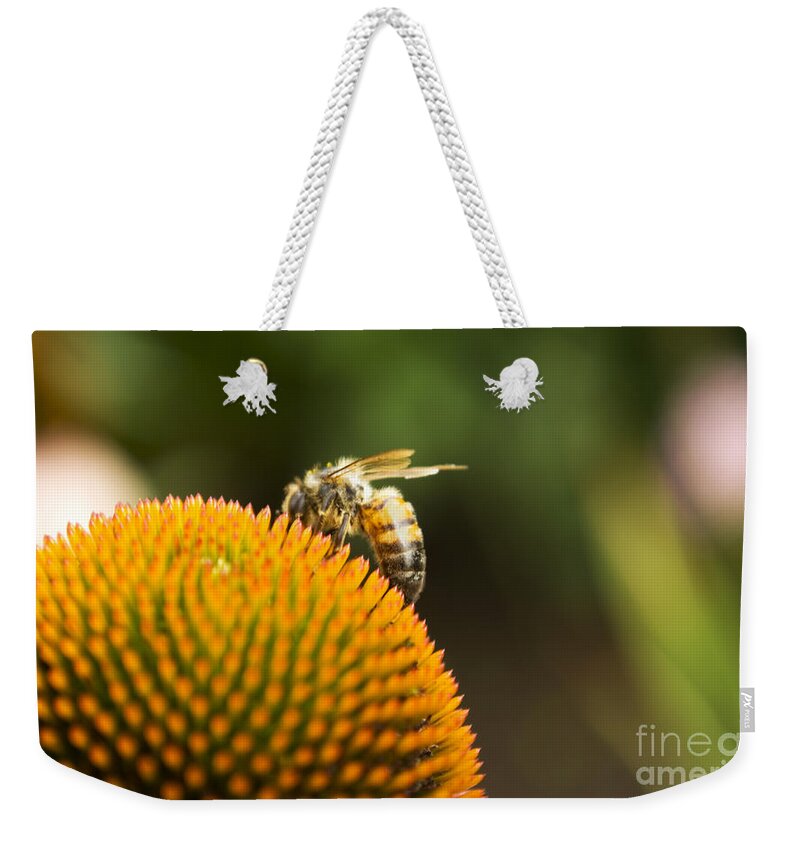 Bee Weekender Tote Bag featuring the photograph On the Horizon by Heather Applegate