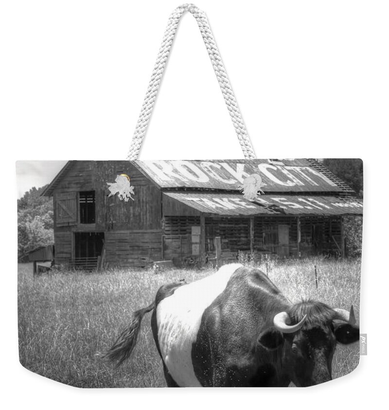 Cow Weekender Tote Bag featuring the photograph On the move by David Troxel