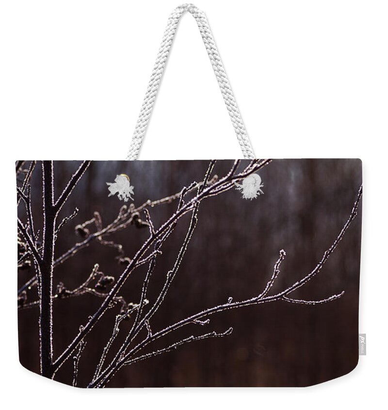 Frost Weekender Tote Bag featuring the photograph One Frosty Morning by Sue Capuano