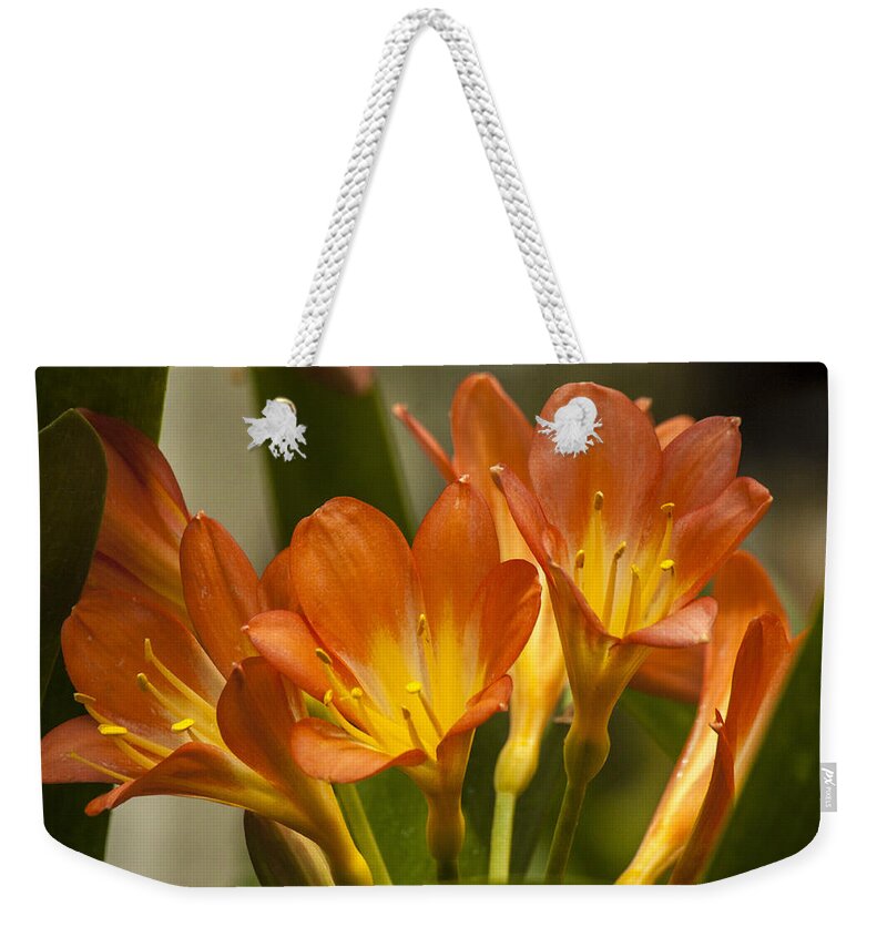 Flower Weekender Tote Bag featuring the photograph Orange and Yellow by Darleen Stry