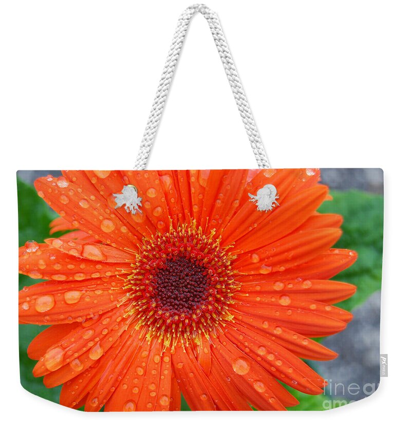 Orange Weekender Tote Bag featuring the photograph Orange Flower with Raindrops by Grace Grogan