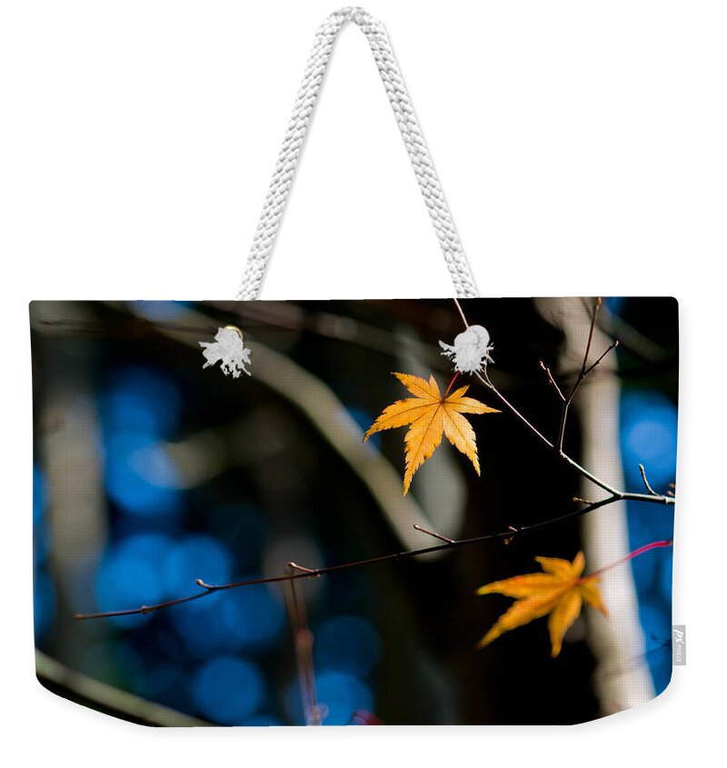 Abstract Weekender Tote Bag featuring the photograph Orange leaf on a tree in winter setting by U Schade