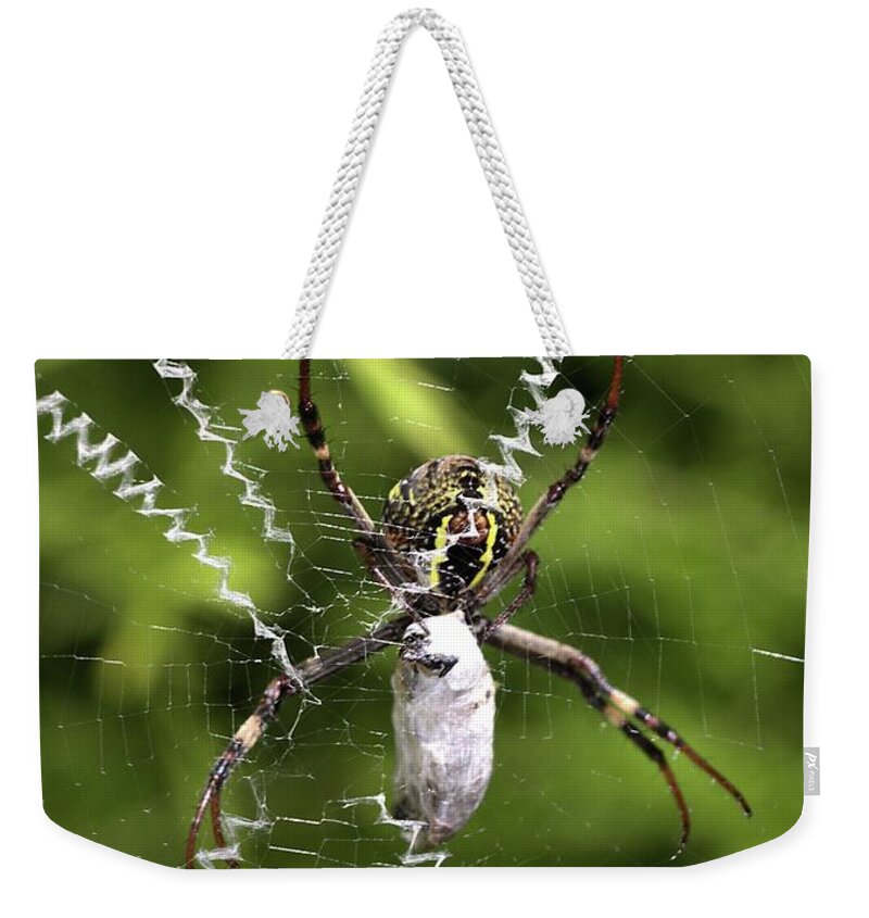 Spider Weekender Tote Bag featuring the photograph Orb Weaver by Joy Watson