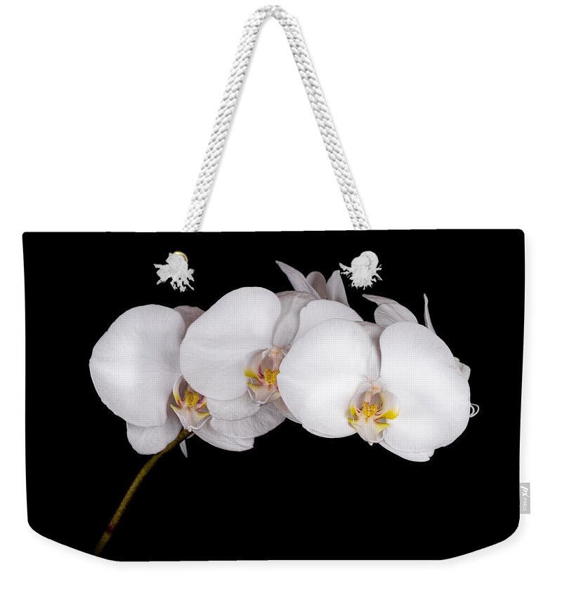 Flower Weekender Tote Bag featuring the photograph Orchid 001 by Larry Carr