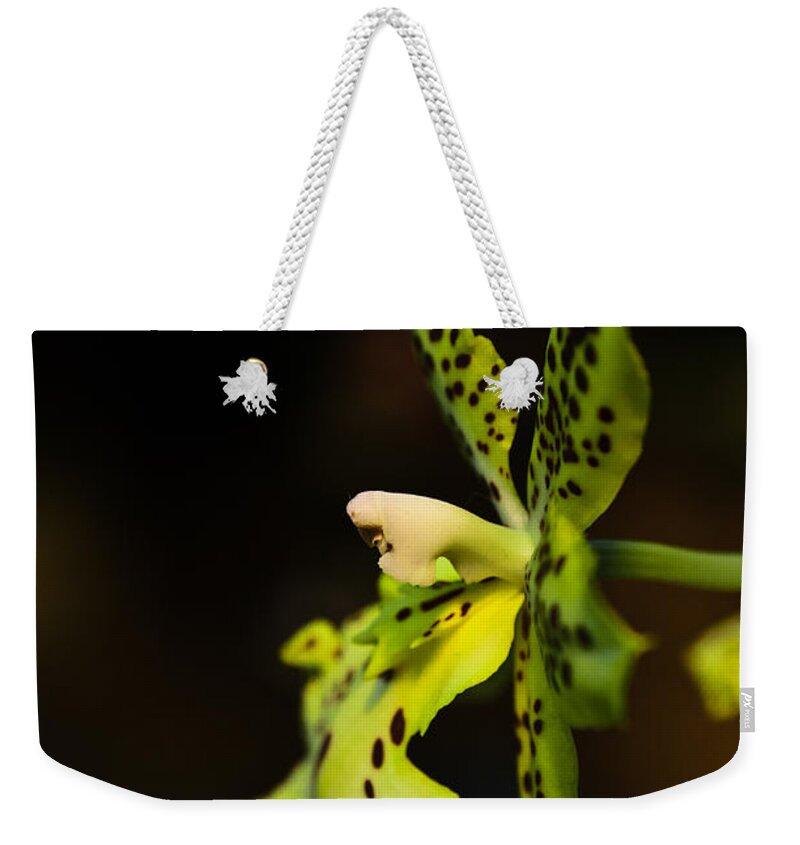 Bouquet Weekender Tote Bag featuring the photograph Orchid flower by Michael Goyberg