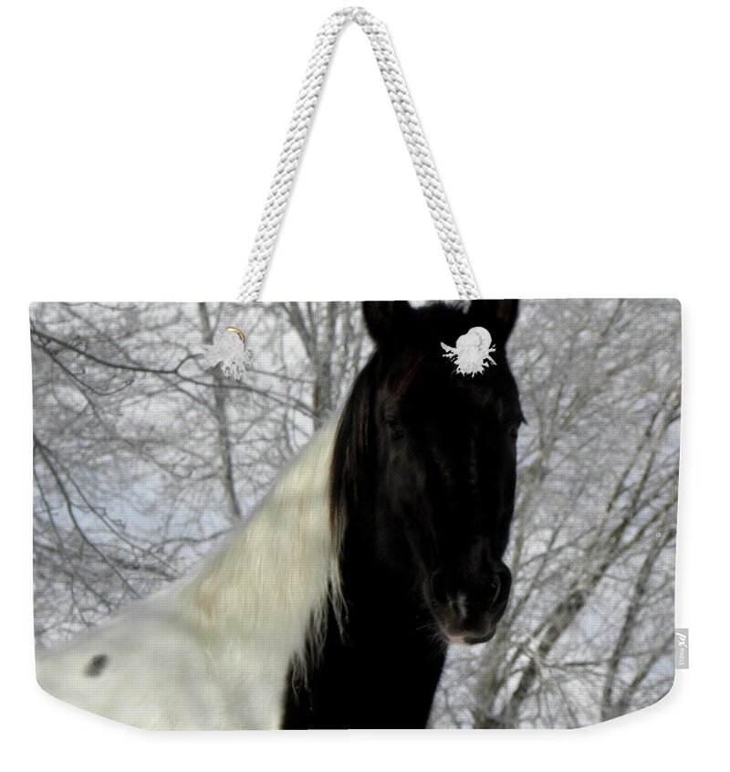 Oreo Weekender Tote Bag featuring the photograph Oreo  by Kim Galluzzo