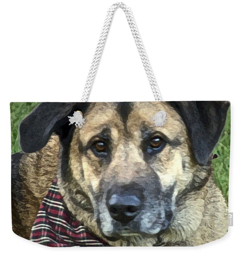 Shepherd Mix Weekender Tote Bag featuring the photograph Our Goofy by Gwyn Newcombe