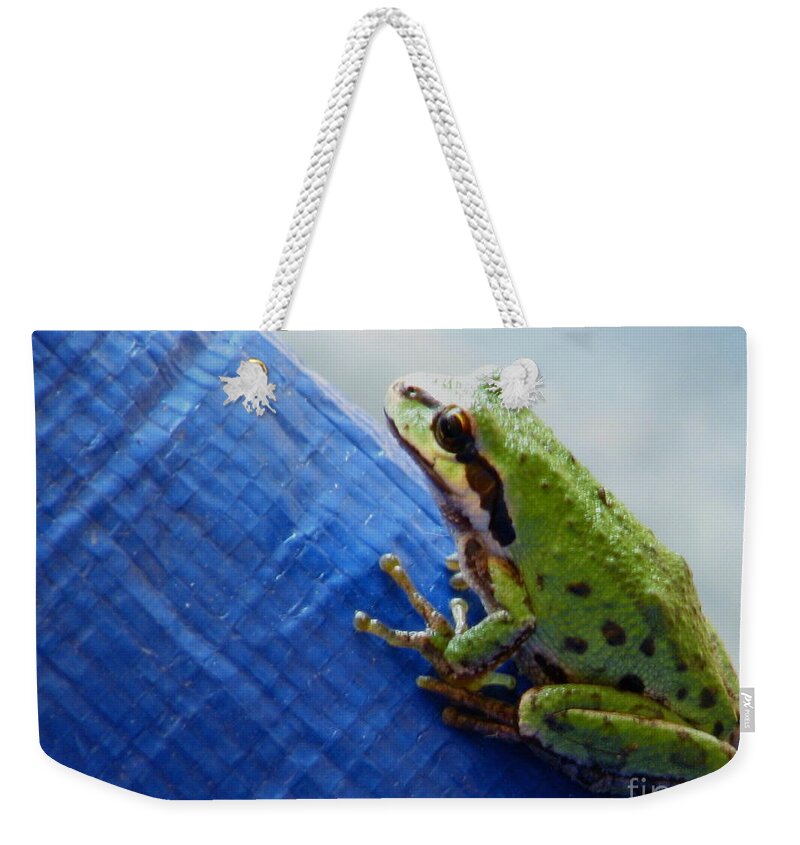 Frog Weekender Tote Bag featuring the photograph Out From Under The Blue Tarp by Rory Siegel