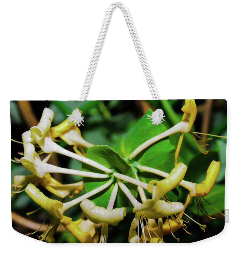 Closeup Weekender Tote Bag featuring the photograph Overblown Perfoliate by Michael Goyberg