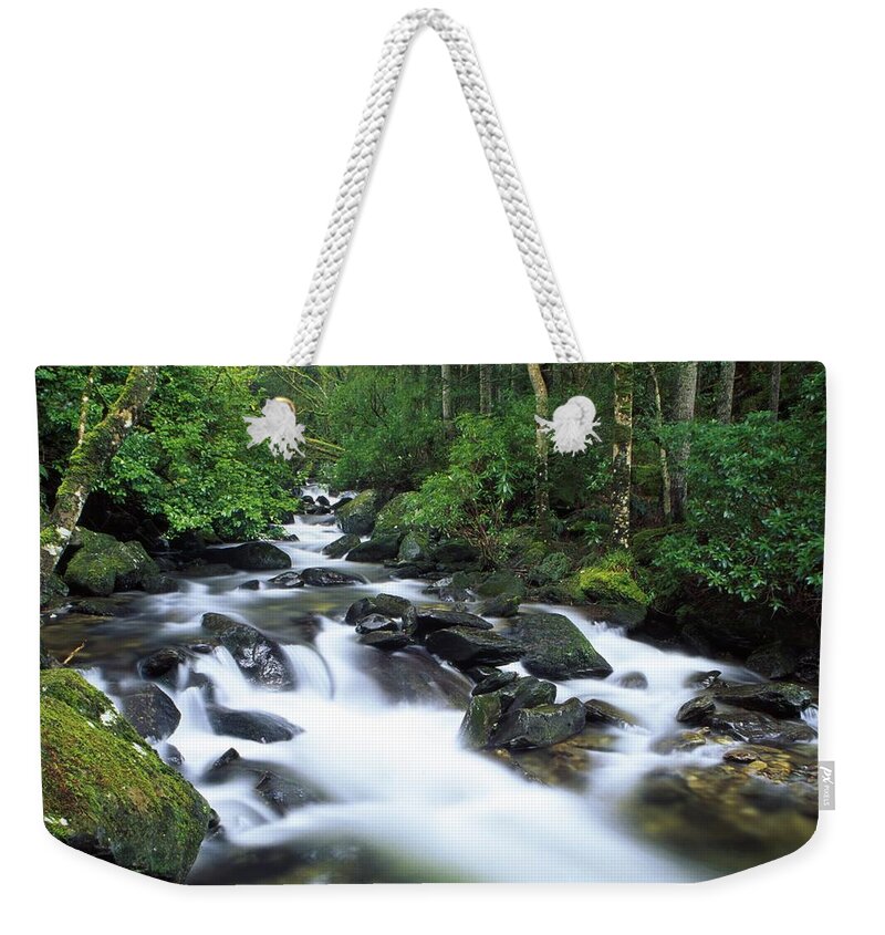 Creek Weekender Tote Bag featuring the photograph Owengarriff River, Killarney National by Richard Cummins