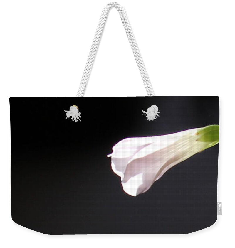 Floral Garden Weekender Tote Bag featuring the photograph Oxalis Bud by Kume Bryant