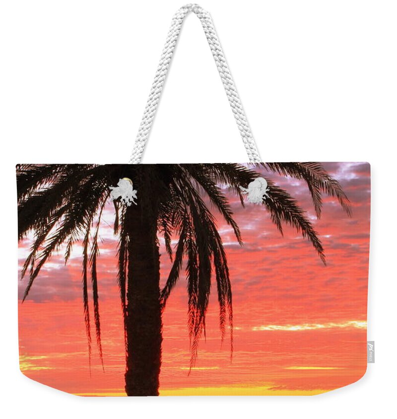 Palm Tree Weekender Tote Bag featuring the photograph Palm Tree and Dawn Sky by Roupen Baker