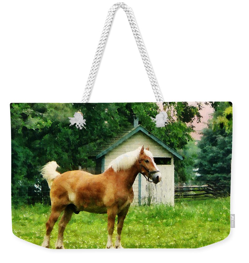 Horse Weekender Tote Bag featuring the photograph Palomino in Pasture by Susan Savad