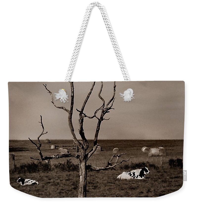 Cow Weekender Tote Bag featuring the photograph Pastorale 2 by Mark Fuller