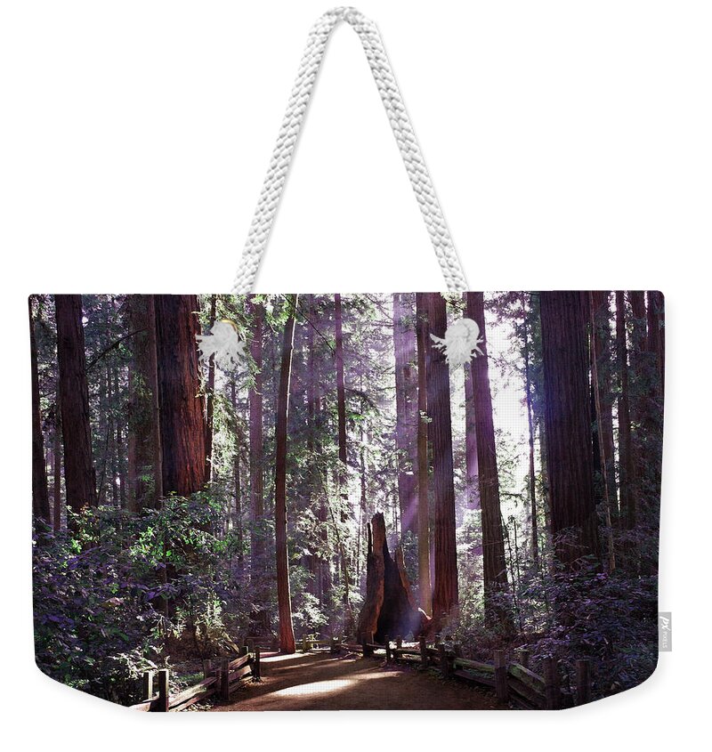 Redwood Weekender Tote Bag featuring the photograph Path by an Ancient Redwood by Laura Iverson