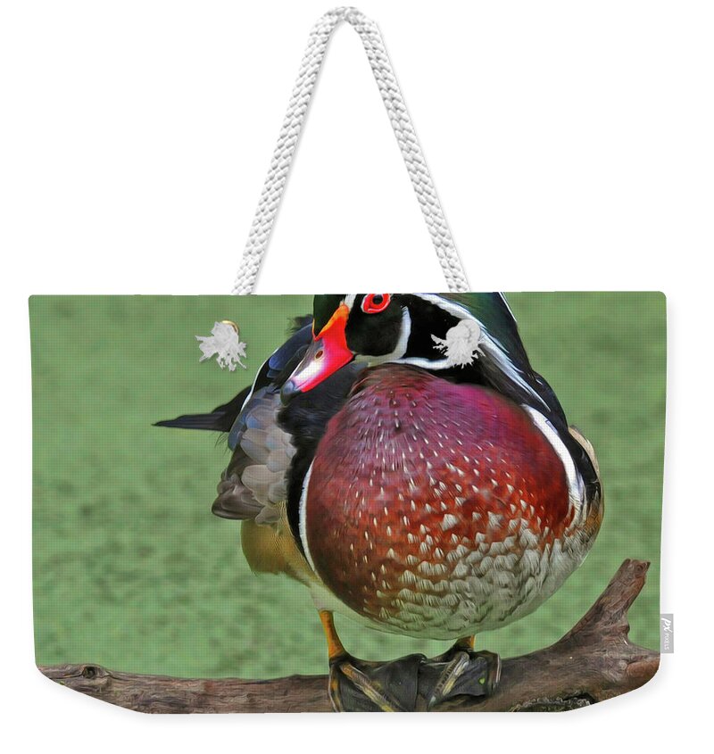 Wood Duck Weekender Tote Bag featuring the photograph Perched Wood Duck by Dave Mills