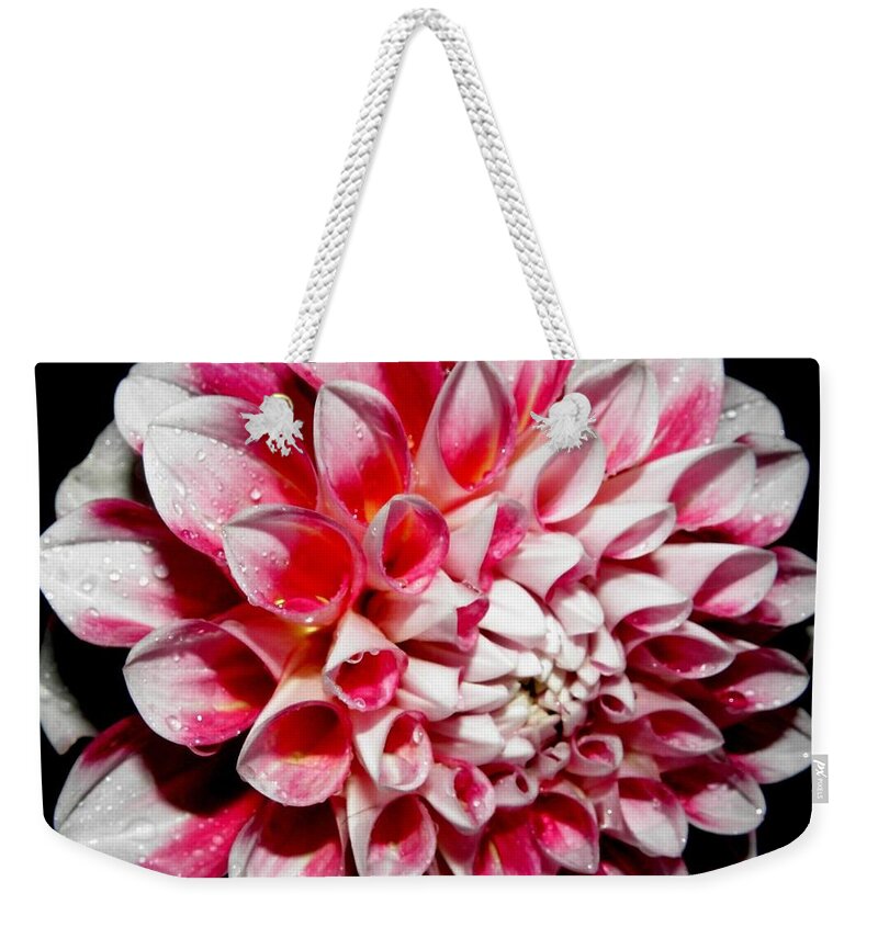 Pink Weekender Tote Bag featuring the photograph Perfection In Pink by Kim Galluzzo