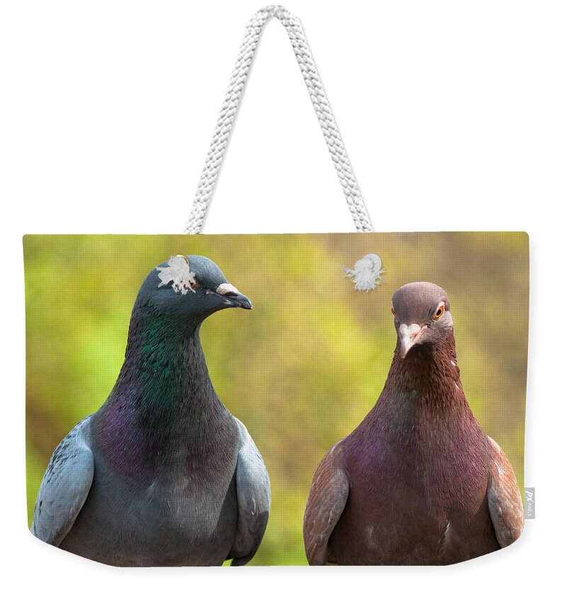  Weekender Tote Bag featuring the photograph Pigeons by Andrew Michael