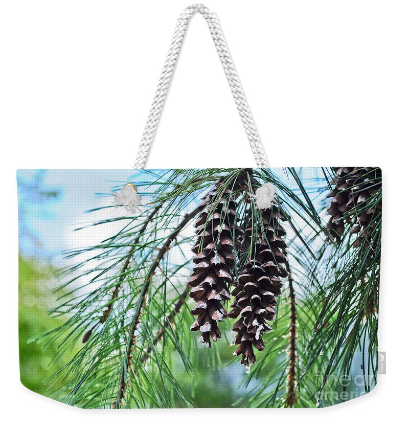 Forest Weekender Tote Bag featuring the photograph Pine Cones by Elaine Manley
