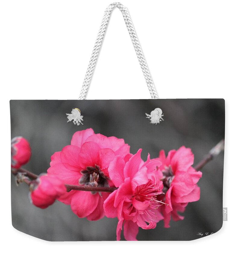 Flowers Weekender Tote Bag featuring the photograph Pink Blossoms by Amy Gallagher