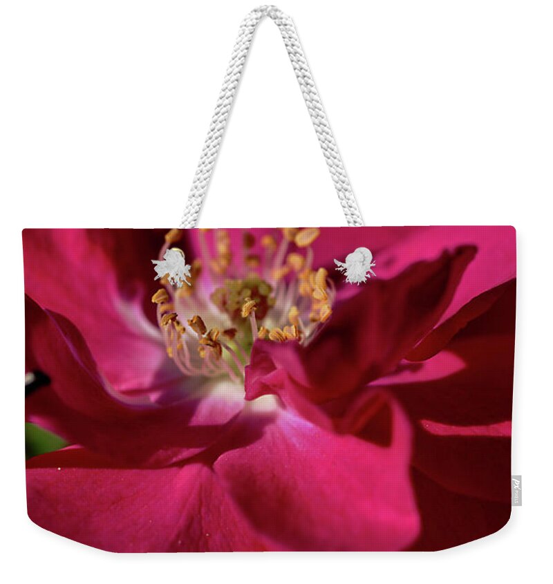 Rose Weekender Tote Bag featuring the photograph Pink of Rose by Joy Watson