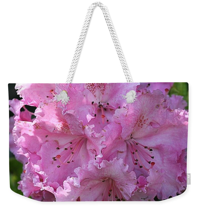 Rhodie Weekender Tote Bag featuring the photograph Pink Rhododendrons by Chriss Pagani