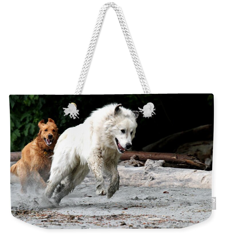 Dogs Weekender Tote Bag featuring the photograph Play Time On the Beach by Marie Jamieson