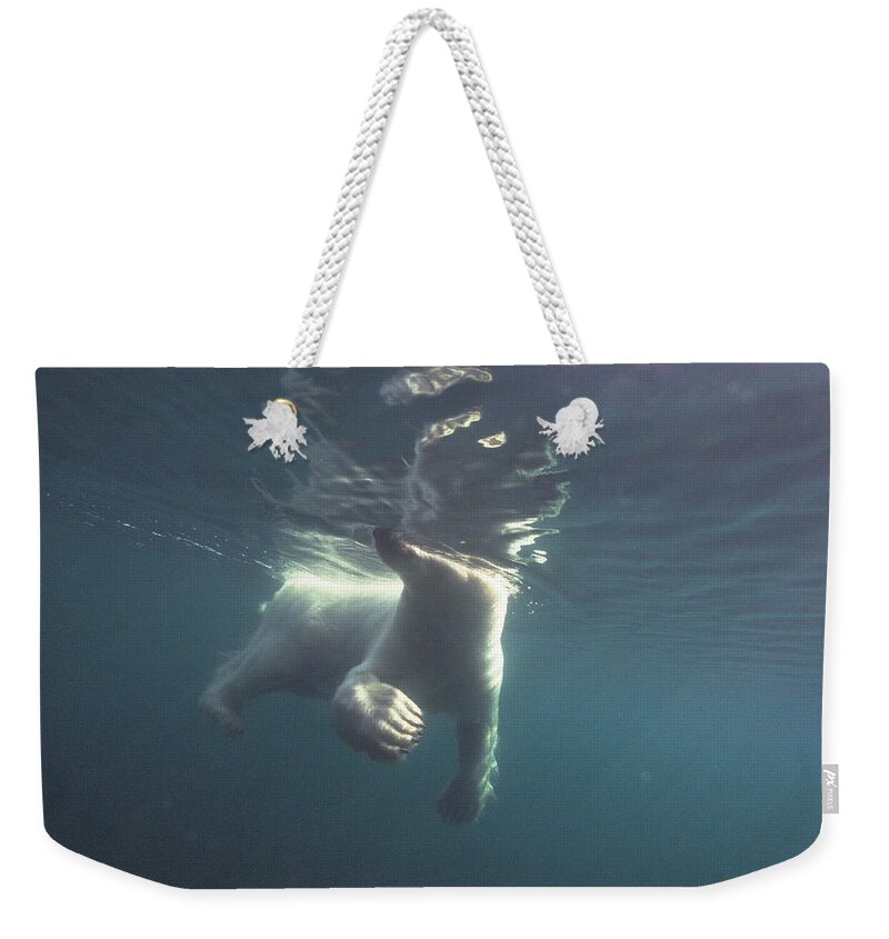 00125874 Weekender Tote Bag featuring the photograph Polar Bear Swimming Wager Bay Canada by Flip Nicklin
