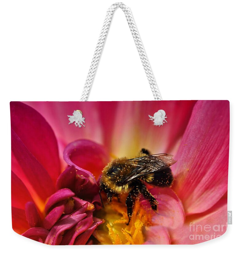 Bee Weekender Tote Bag featuring the photograph Pollen Covered by Elaine Manley